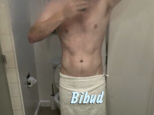 Bibud
