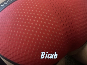 Bicub
