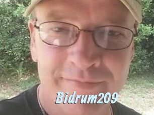Bidrum209
