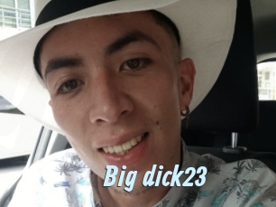 Big_dick23
