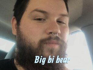 Big_bi_bear