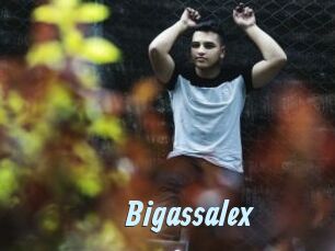 Bigassalex