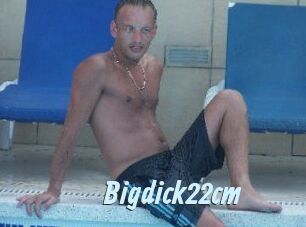 Bigdick22cm