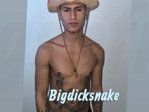 Bigdicksnake