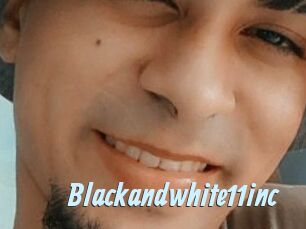 Blackandwhite11inc