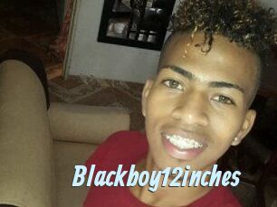 Blackboy12inches