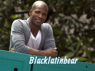 Blacklatinbear