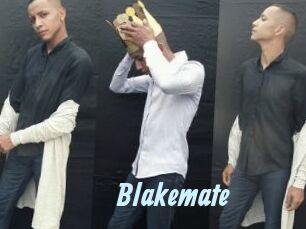 blakemate Gay Sex Prev