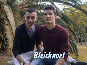 Bleicknort