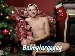 Bobbylargegay