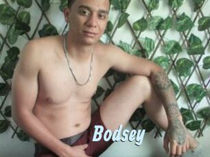 Bodsey
