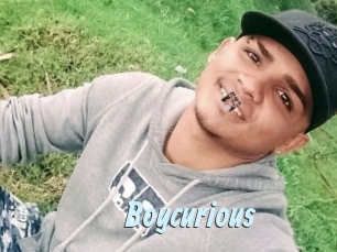 boycurious Gay Sex Prev