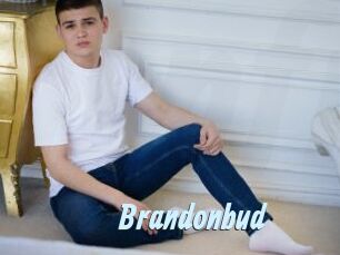 Brandonbud