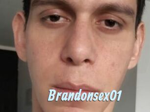 Brandonsex01