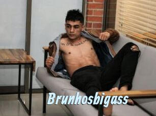 Brunhosbigass
