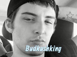 Budkushking
