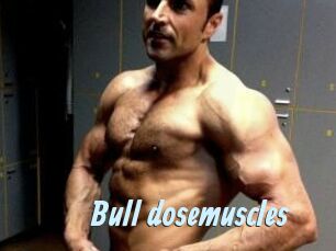 Bull_dosemuscles