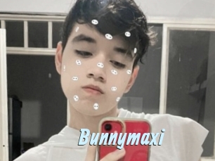 Bunnymaxi