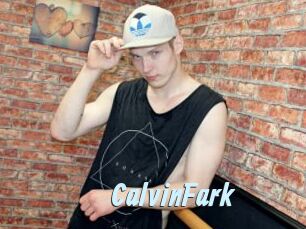 CalvinFark Gay Sex Prev