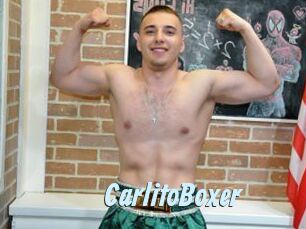 CarlitoBoxer