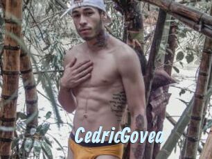 CedricGovea