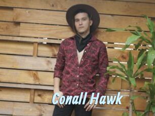 Conall_Hawk