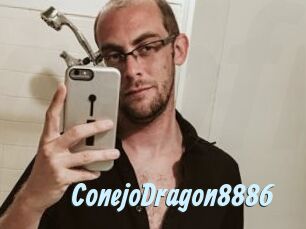 ConejoDragon8886