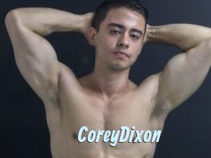 CoreyDixon Gay Sex Prev