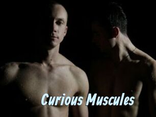 Curious_Muscules