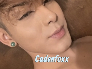Cadenfoxx