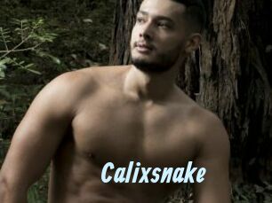 Calixsnake