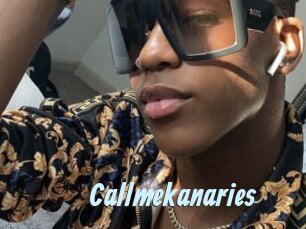 Callmekanaries