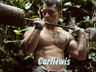 carllewis Gay Sex Prev