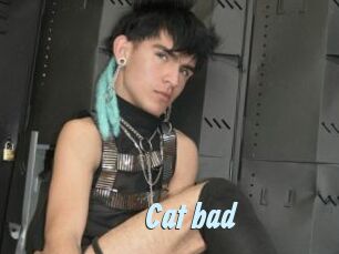 Cat_bad