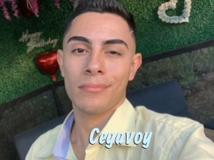 Cegavoy