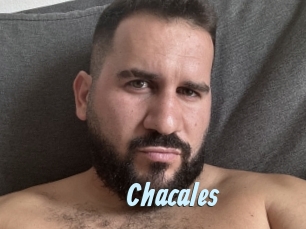 Chacales