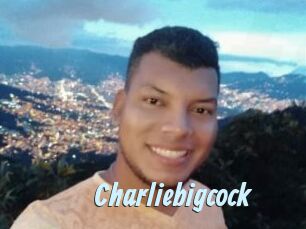 charliebigcock Gay Sex Prev