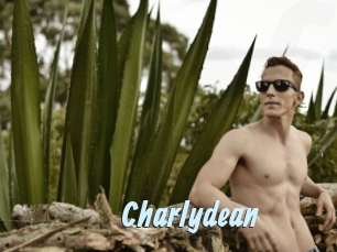 charlydean Gay Sex Prev