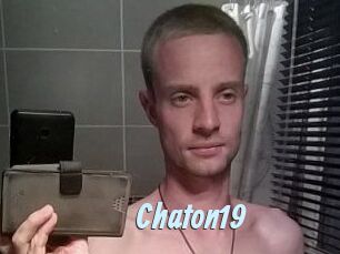 Chaton19