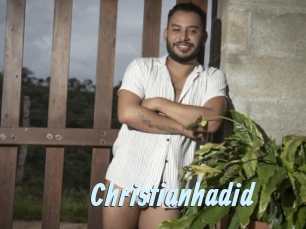 christianhadid Gay Sex Prev