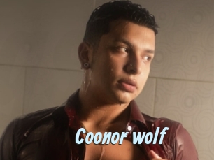 Coonor_wolf