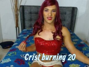 Crist_burning_20