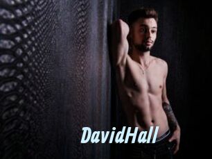 DavidHall