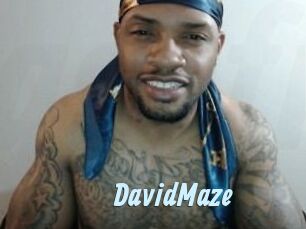 David_Maze