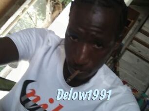 Delow1991