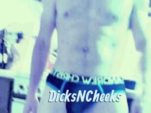 DicksNCheeks Gay Sex Prev