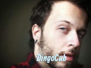 DingoCub