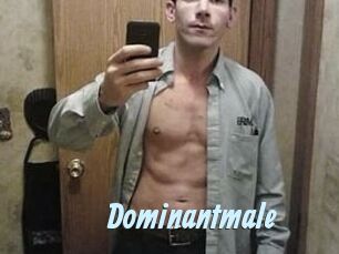 Dominantmale