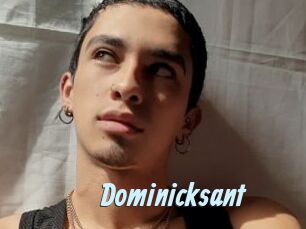 Dominicksant