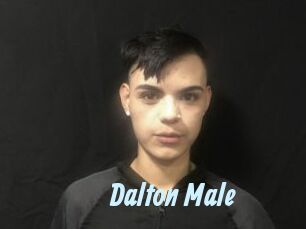 Dalton_Male